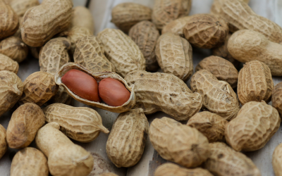 Peanuts, the pea not the nut