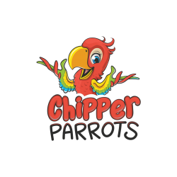 Chipper Parrots